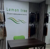 Салон наращивания волос Lemon Tree фото 4